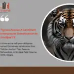 Close-up image of a tigress framed in a circular cutout alongside a blog header titled "Tigress Zeenat: A Landmark Interspecies Translocation to Similipal TR" with summary text and the Civils Central logo on a grey background.