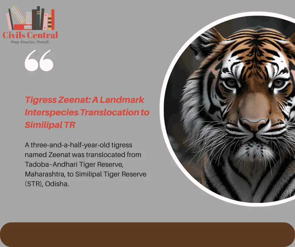 Close-up image of a tigress framed in a circular cutout alongside a blog header titled "Tigress Zeenat: A Landmark Interspecies Translocation to Similipal TR" with summary text and the Civils Central logo on a grey background.