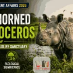 One-Horned Rhinoceros